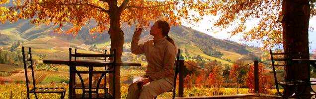 inglês em Stellenbosch com Language International